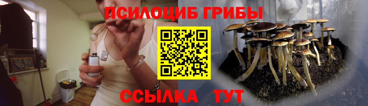 Мыски  Галлюциногенные грибы Cubensis  Вход с VPN  Псилоцибиновые грибы мухоморы 